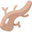 Branch icon 64x64