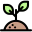 Sprout icon 64x64