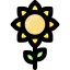 Sunflower icon 64x64