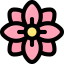 Flower icon 64x64