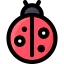 Ladybug icon 64x64