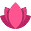Lotus icon 64x64