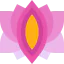 Lotus icon 64x64