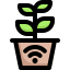 Plant icon 64x64