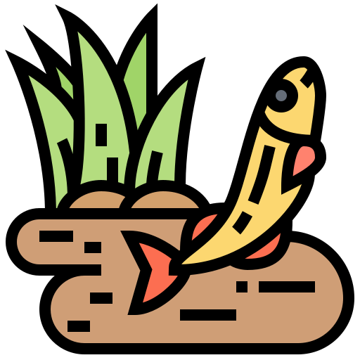 Pond icon