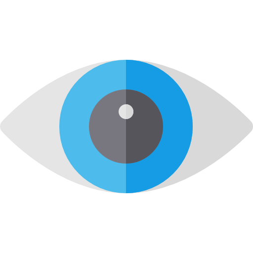 Eye icon