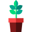 Coffee plant 상 64x64