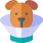 Elizabethan collar icon 64x64