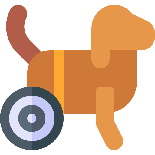 Disabled icon
