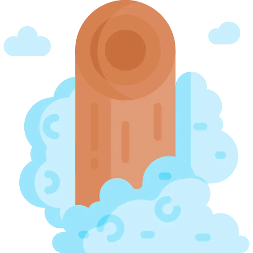 Ninja icon