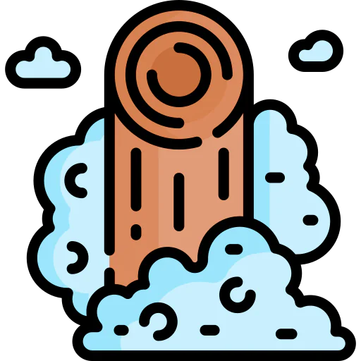 Ninja icon