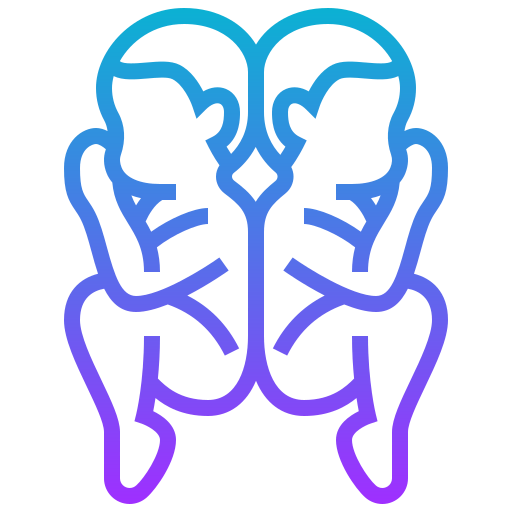 Cloning icon