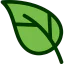 Leaf icon 64x64