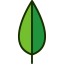 Leaf icon 64x64