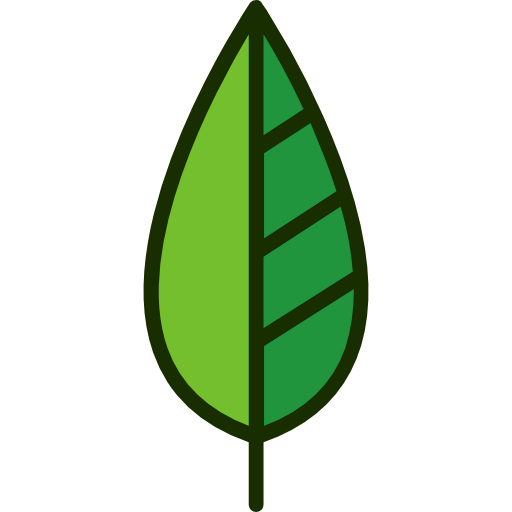Leaf icon