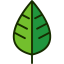 Leaf icon 64x64