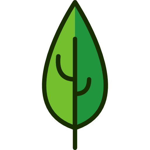 Leaf icon
