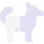 Fox icon 64x64