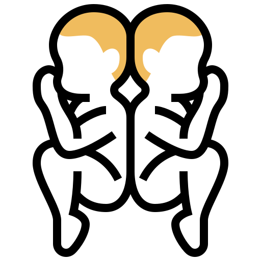 Cloning icon
