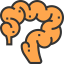 Intestine icon 64x64