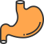 Stomach icon 64x64