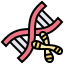Dna icon 64x64
