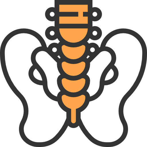 Pelvis icon