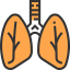Lungs icon 64x64