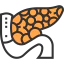 Pancreas icon 64x64