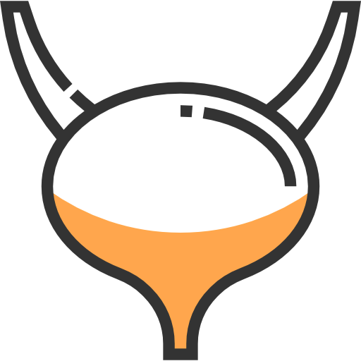Bladder icon