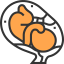 Fetus icon 64x64