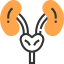 Kidneys Symbol 64x64