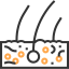 Dermis icon 64x64