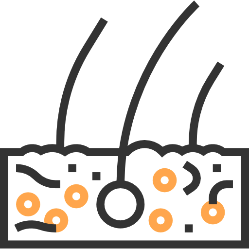 Dermis icon