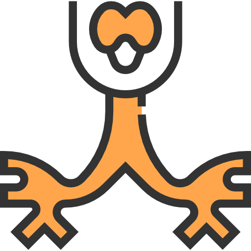 Bronchus icon