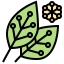 Leaf icon 64x64