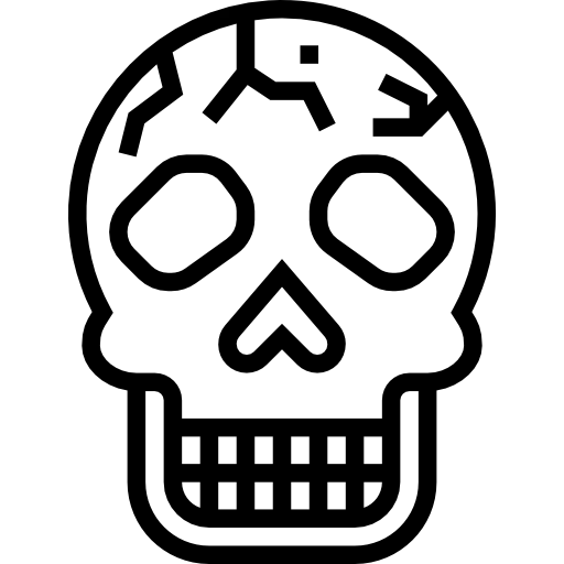 Skull icon