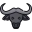 Buffalo アイコン 64x64