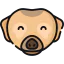Meerkat icon 64x64