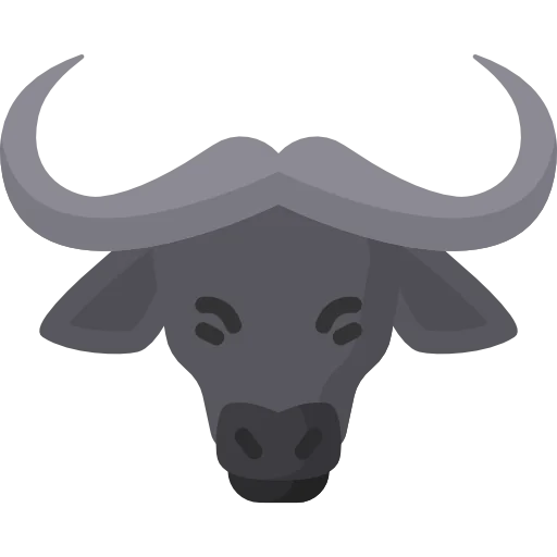 Buffalo icon
