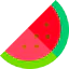 Watermelon icon 64x64