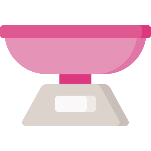 Scale icon