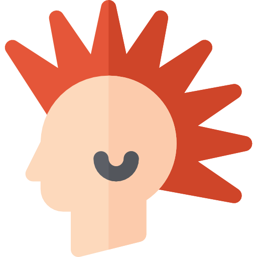 Punk icon