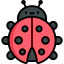 Ladybug icon 64x64