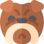 Bulldog icon 64x64