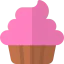Cupcake icon 64x64