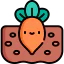 Carrot icon 64x64