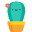 Cactus icon 64x64
