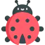 Ladybug icon 64x64