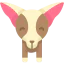 Chihuahua icon 64x64